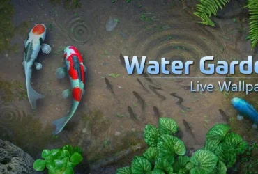 Water Garden Live Wallpaper MOD APK (Premium Unlocked)