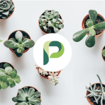 Planta – Care for your plants