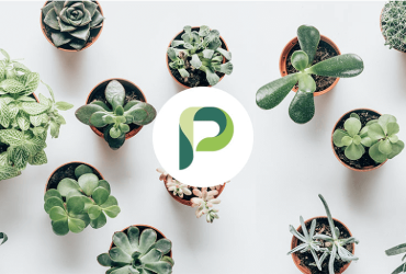 Planta – Care for your plants