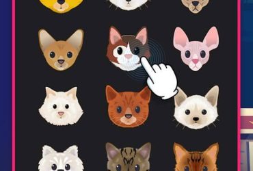 CatLife: BitLife Cats