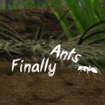 Finally Ants