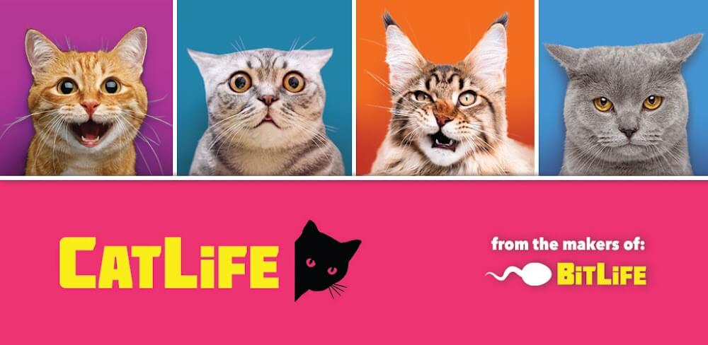 CatLife: BitLife Cats