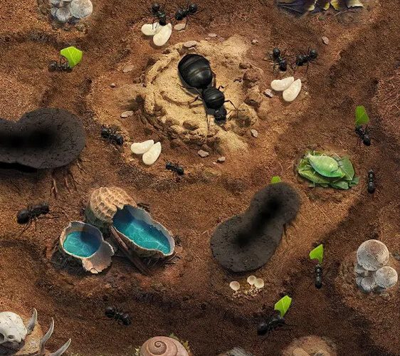 The Ants: Underground Kingdom