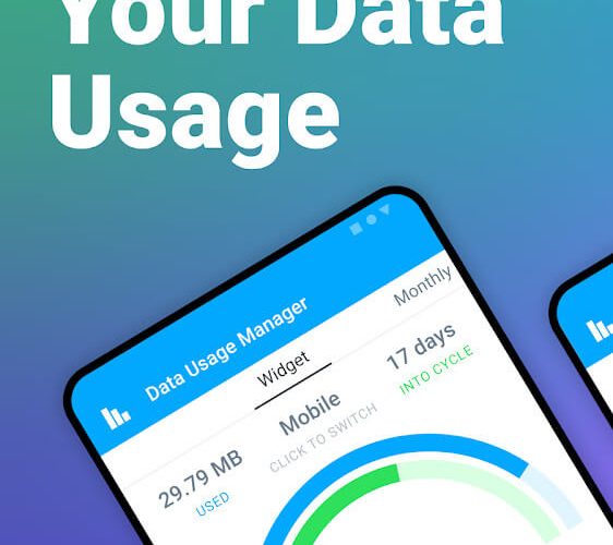 Data Usage Manager