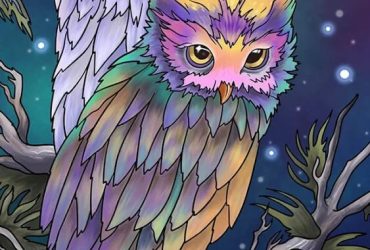 Paint by Number Coloring Games