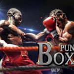 Punch Boxing 3D