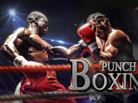 Punch Boxing 3D