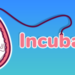 Incubator