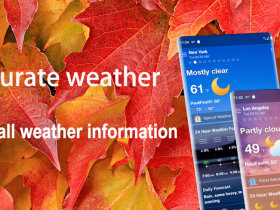 Local Weather Alerts – Widget