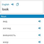 Russian-English Dictionary