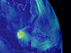 Wind Map Hurricane Tracker