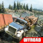 Offroad Games Truck Simulator