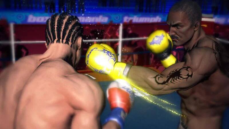 Punch Boxing 3D