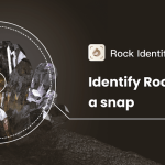 Rock Identifier: Stone ID