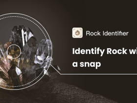 Rock Identifier: Stone ID