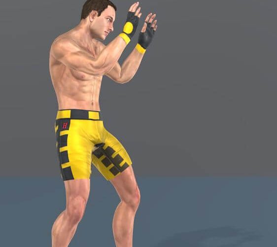 Muay Thai Fitness