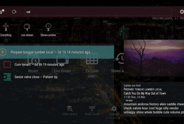 OTT Navigator IPTV