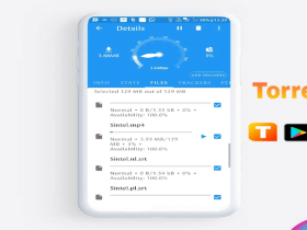 Torrent Pro – Torrent Downloader