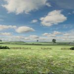 Polyfield