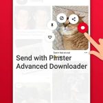 Pinster Advanced Downloader
