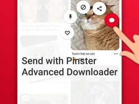 Pinster Advanced Downloader