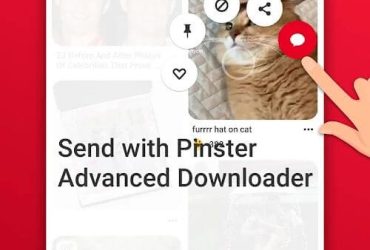Pinster Advanced Downloader
